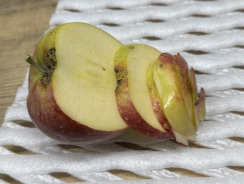 【ご予約／天候被害果】希少価値の高い夏りんご【シナノリップ　訳あり】５㎏
R-w5