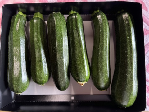 ズッキーニ　群馬県東吾妻町産　訳あり　1kg