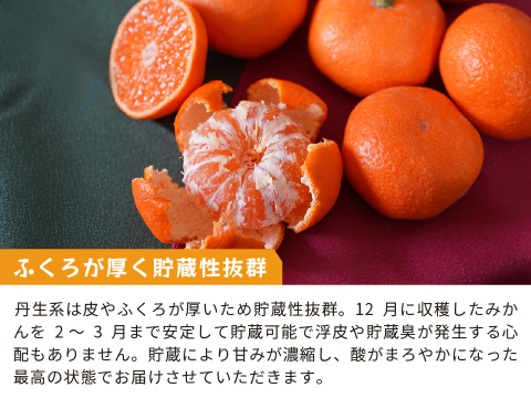 蔵出しみかん丹生系10kg｜和歌山県海南市下津町産。晩生みかんの最高級品種