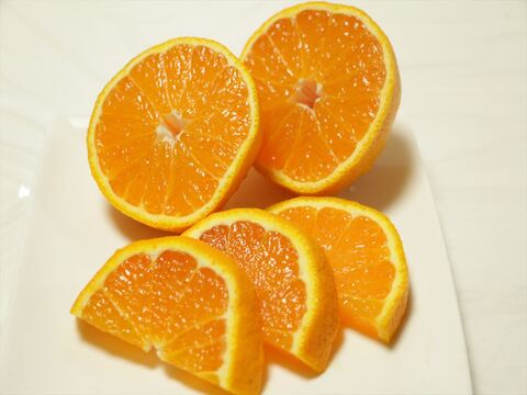 訳アリ！柑橘系の王様！熊本産デコみかん5キロ