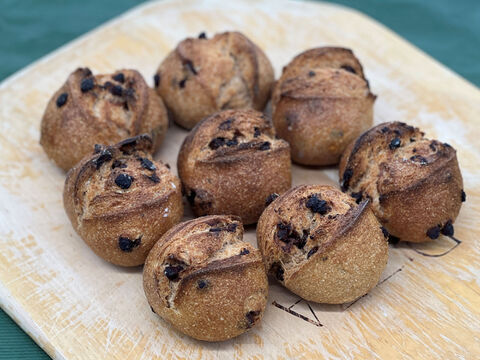 全部有機！Singleパン⑧+⑬+⑯+㉕+㉖+㉗+㉚+㊲+㊳+Sweets④+㉜+㉟+SweetsCompare+冬Gift：食べる人の健康を考えた有機JAS対応パン&Sweets