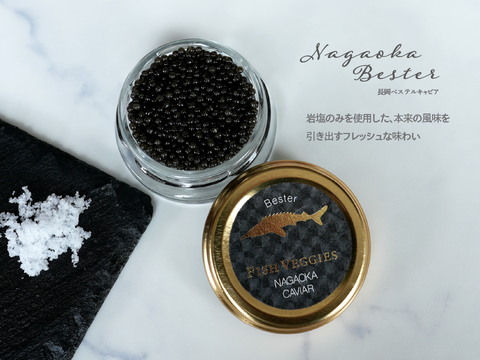 【国産フレッシュキャビア】FISH VEGGIES NAGAOKAべステルキャビア 15g 　シェルスプーン・化粧箱付き