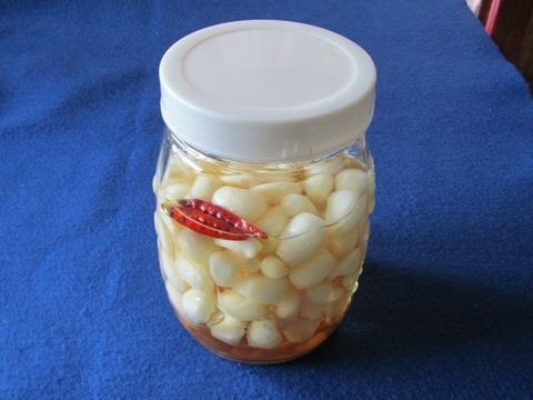 パリポリ食感がクセになる！泥付き生らっきょう～１Kg