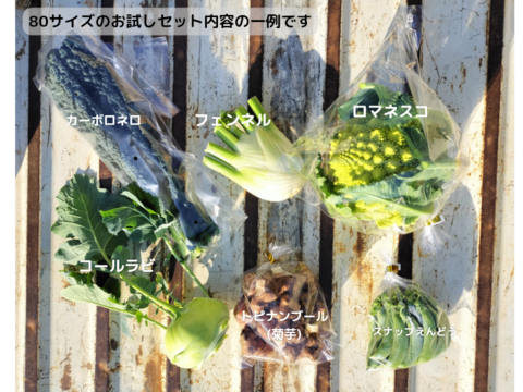 渥美半島産＊イタリア野菜セット/５品種以上