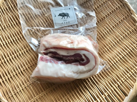 特Aクラス🏆✨イノシシ《ジビエ》【猪肉 希少❣️バラ 570g ブロック】250325−17