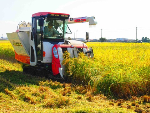※りょうが　長野県産コシヒカリ30ｋｇ精米（本州送料無料）令和５年秋収穫 コシヒカリ 令和6年産 5kg 特A地区 特別栽培米 新潟産 JAえ