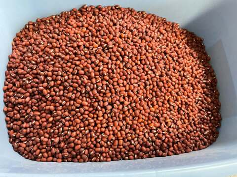 肥料・農薬不使用の自然16年の小豆　4ｋｇ