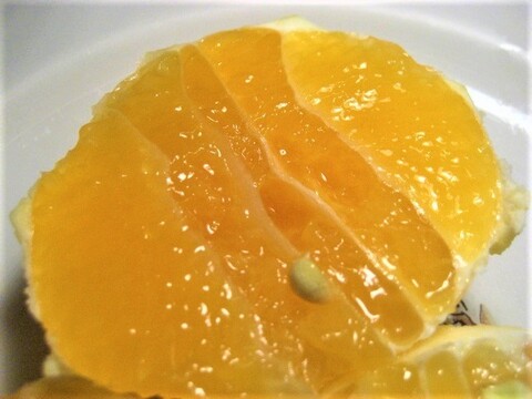 はるひ 朝採り 農薬・肥料・除草剤不使用 2kg