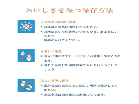 【お値打ち玄米30ｋｇ】令和7年産 青森県産「まっしぐら」紙袋玄米30ｋｇ 彩北米 自社生産 自社調整加工 プロフェッショナル米栽培 あおもり aomori 産直 良品種  さっぱり 美味しい