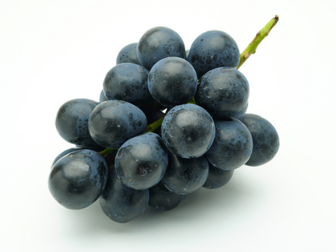 《家庭用詰め合わせ》シャインマスカット・ナガノパープル（４〜６房）長野県須坂市産・クール便