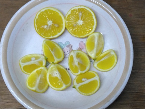 ラストセール 静岡県産 希少柑橘 黄金柑 約3.0㎏：静岡県産の