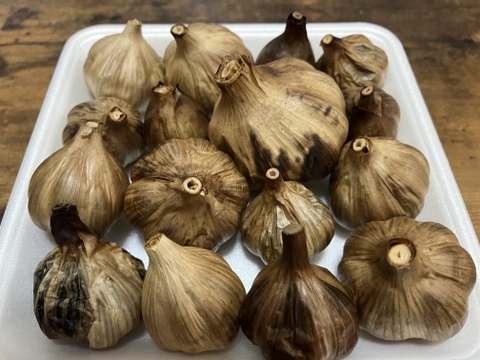 33 自然栽培　黒にんにく 人気　サイズいろいろたっぷり16個　令和4年度新物　食べやすくて美味しい