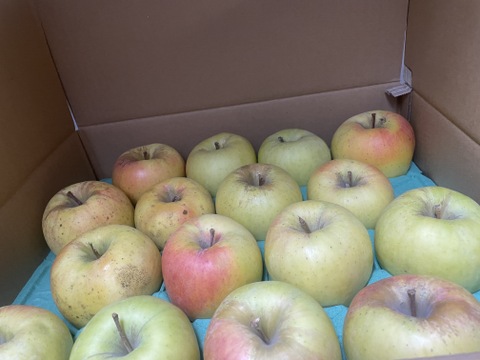 「ぐんま名月」甘くてジューシーな黄色い林檎　 訳ありたくさん食べたい5キロ　ご家庭専用ス5キロコース（14から20個入）