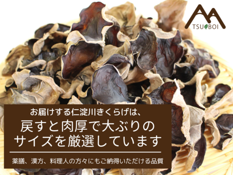 【仁淀川きくらげの魅力を伝える大袋】高知県産仁淀川きくらげ(ホールタイプ100g×3Pセット) ※戻し方、参考料理の冊子付き Niyodogawa Kikurage
