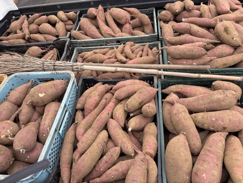 【サツマイモ】★紅はるか Mサイズ★1kg★農薬、化学肥料不使用★自然な甘み！