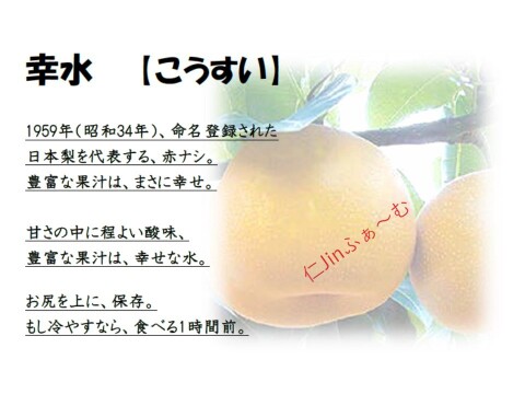 【味に自信あり】先行予約！長野県産、日本の幸せな梨【幸水】こうすい 赤梨。10~13玉。