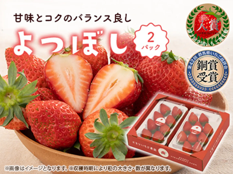 2パック｜甘味とコクのバランス良し！鮮やかな赤色いちごのよつぼし500g