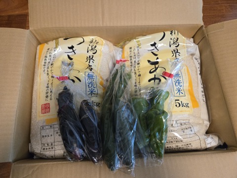 新米 新潟県産 つきあかり 10キロ 無洗米 令和8年産 (tukiakari-10kg-m