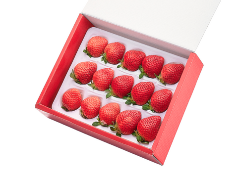 【予約販売 2026年11月下旬～順次発送】特選あまおう 400ｇ ギフト お歳暮