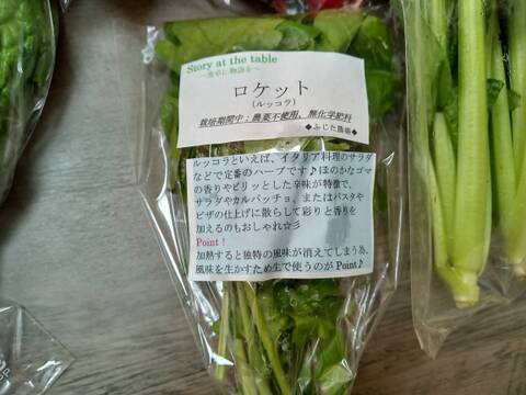 季節の野菜セット『採れTakara☆彡』11品前後