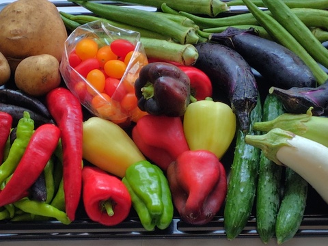 【旬のお勧め野菜セット】＊6品目以上～農薬/化学肥料・不使用