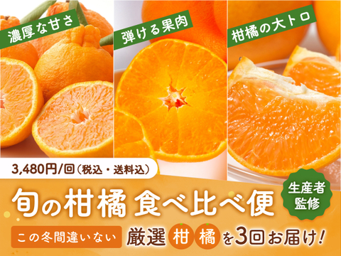 【旬の柑橘 食べ比べ便】甘平(家庭用 L〜3Lサイズ)/箱込み約1.5kg🍊