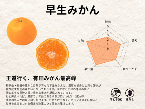 あふれる果汁！濃厚な甘味とほどよい酸味がたまらない！早生みかん（3kg）