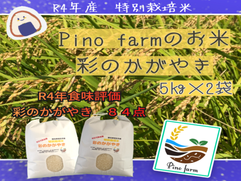 R4年産　Pino farmのお米　特別栽培米彩のかがやき【５㎏×２袋】