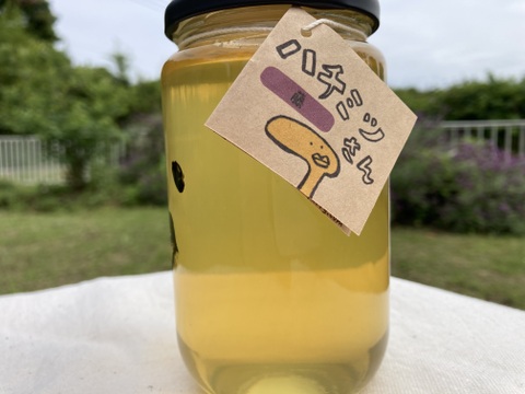 藤のハチミツさん　450g