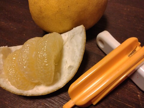 土佐文旦【農薬不使用】３kg（５～６個）おひとり様向け★皮むき器 付