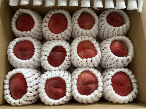 ご家庭用 桃 あかつき 小玉 約2kg 数量限定：長野県産のあかつき｜食べ