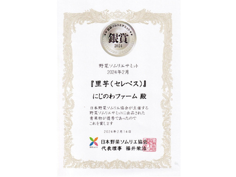野菜ソムリエサミット銀賞！ほっくり里芋〈セレベス〉約1.5kg（農薬・化学肥料不使用）