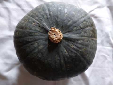 「砂丘育ちの栗かぼちゃ」2㎏以上×2玉