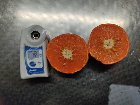 紅ばえ　家庭用Ａ・Ｂミックス　4Ｋ