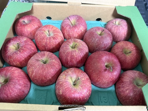 さんフジ 山形 朝日町産 小玉 りんご 約3kg   1級品 贈答用 家庭用 リンゴ