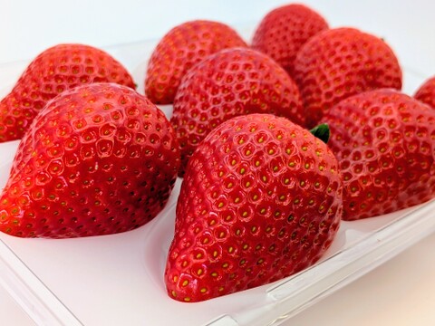 特選！2箱セット！シャキっと歯応え！ジュワ～と果汁！厳選大粒♪完熟とちあいか！苺がずれない贈答用パックに入れてお届け！今話題の甘さが際立つ品種です！
約270g×4パック