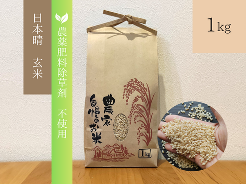 《農薬不使用・肥料除草剤不使用》お日さまたっぷりのお米『日本晴』【玄米】1kg・2025年和歌山県産