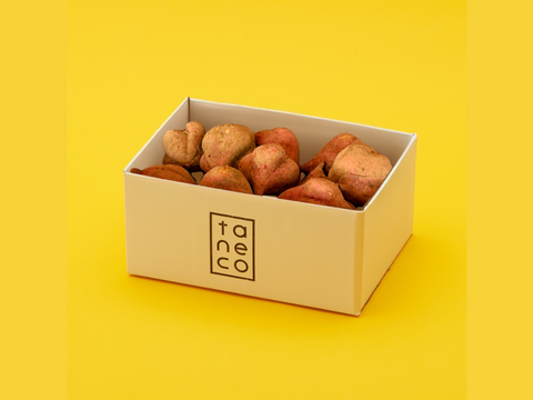 ＜訳あり・規格外＞taneco 熟成 種子島安納いも（生いも） 【Mサイズ以上・５kg】