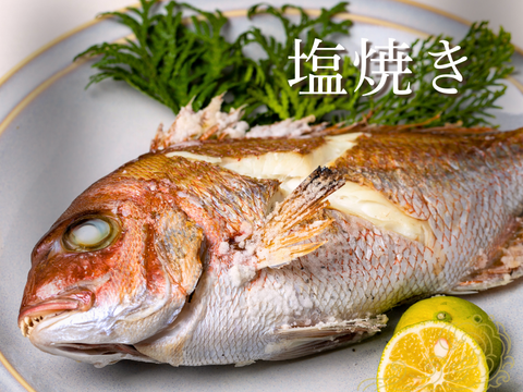 【唐揚げ・南蛮漬けに】小さめレンコダイ（１kg）