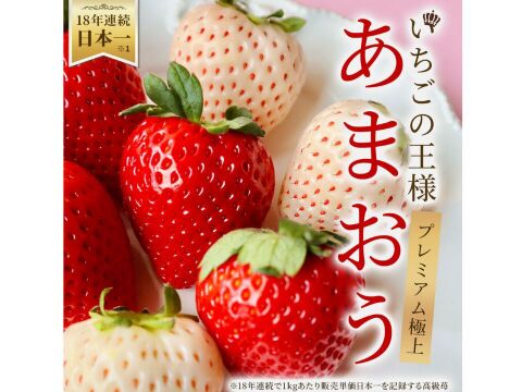紅白極上あまおう400ｇ　～ベロアギフトボックス～【冬ギフト】