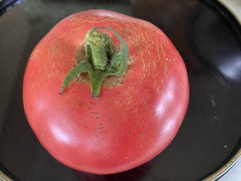 【すぐにお買い求め下さい】信州産　完全農薬不使用　完熟トマト（お箱込で２キロ）
