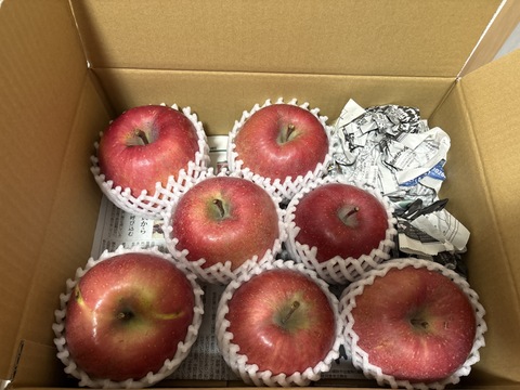 【お待たせしました！】標高730ｍの果樹園からお届け！信州松本育ちのサンふじ🍎りんご　(3kg)【訳アリ】
