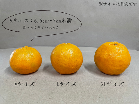 種子島産『ぽんかん』10㎏箱（家庭用/Mサイズ）