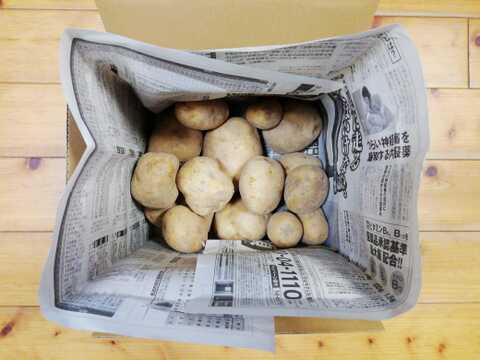 ジャガイモ(ニシユタカ)2.5～３㎏程度【農薬化学肥料不使用】【合わせ買い可】【熨斗(のし)対応可】