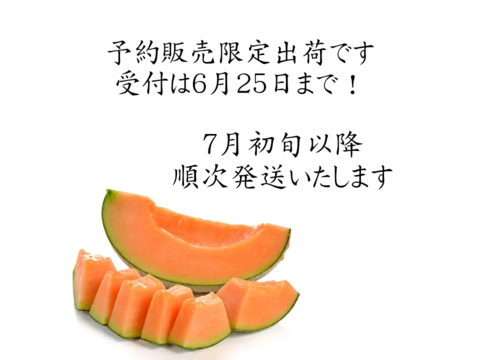 熊本県八代産　クインシーメロン　５玉　３Ｌサイズ