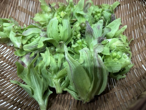 旬です！蕗味噌。ご飯のお供。栄養満点！120g〜140g