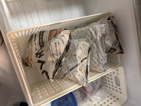 朝採り！！新鮮！栽培期間農薬不使用　ヤングコーン　約50本