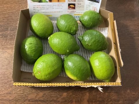 食べてみんさい！広島特別栽培レモン◆農薬不使用◆1㎏