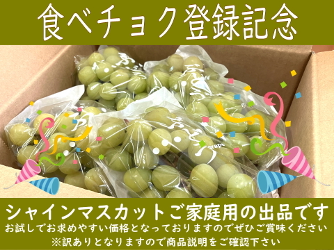 食べチョク登録記念
2025年限定山梨県産ゴールドシャインマスカット入りシャインマスカット約1.1kg~1.2kg　【ご家庭用訳あり】最終になります。美味しい食べ方や保存の仕方を同封します!