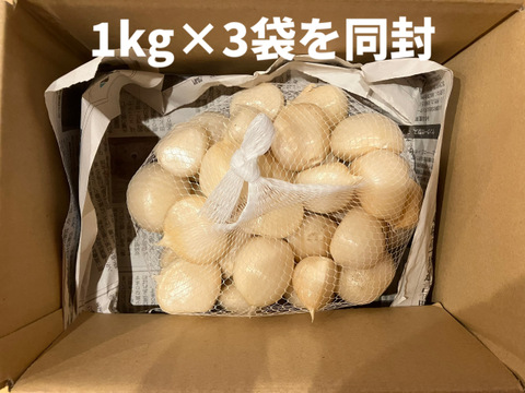 生ジャンボにんにく·大中小バラ13キロ 農薬不使用！外皮剥き済】生ジャンボニンニク バラ1kg×3袋：滋賀県産の